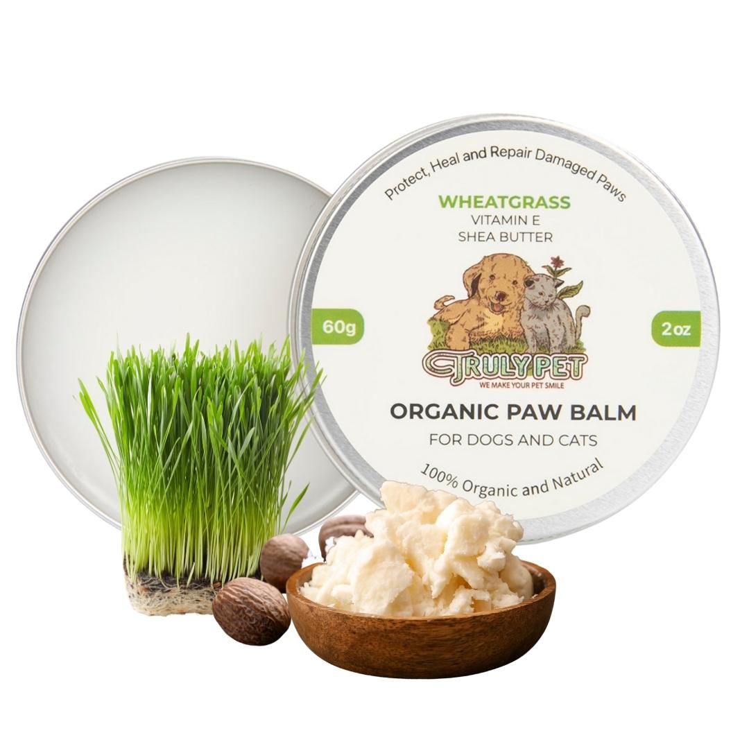 Wheatgrass best sale for dogs